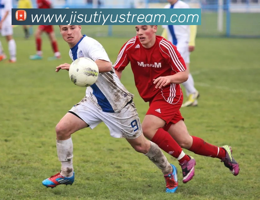 极速体育直播平台生态图